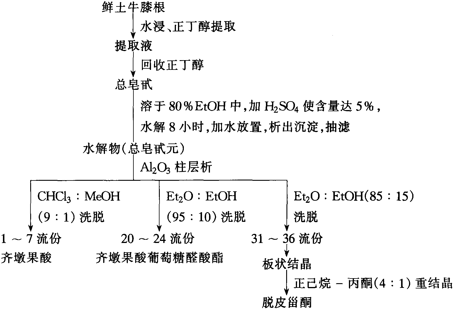 12 土牛膝